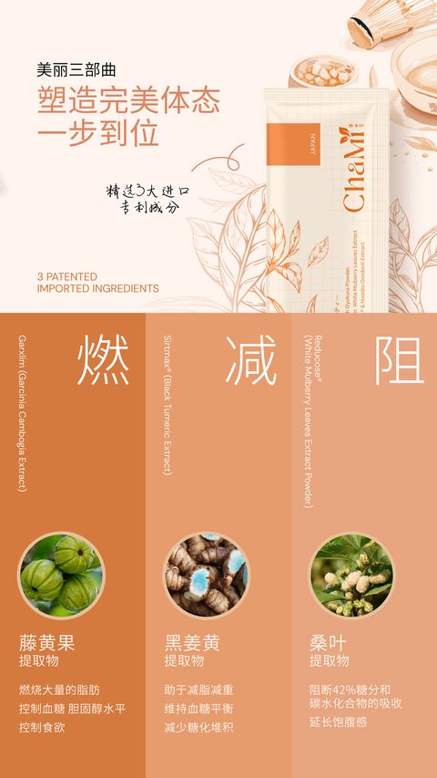 IMG_8193-1731255543243