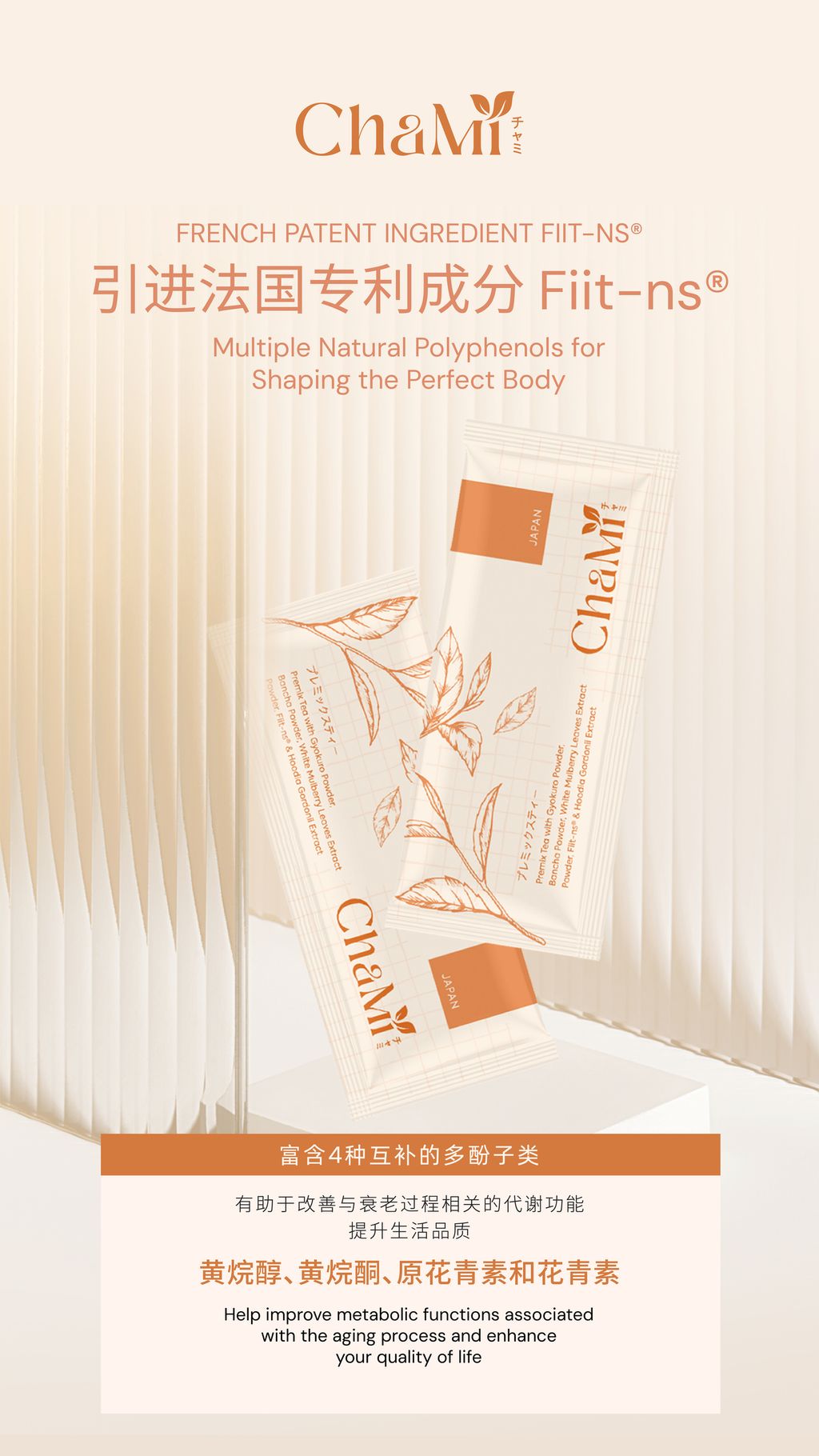 IMG_8195-1731255543255