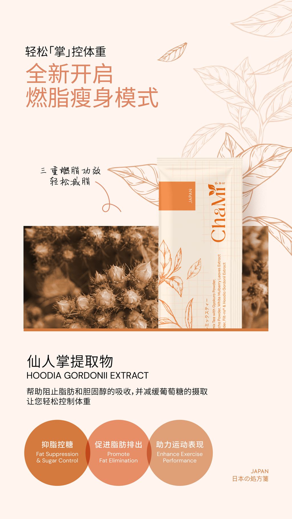 IMG_8197-1731255543270