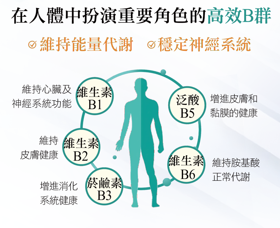 螢幕擷取畫面 2024-11-07 113355