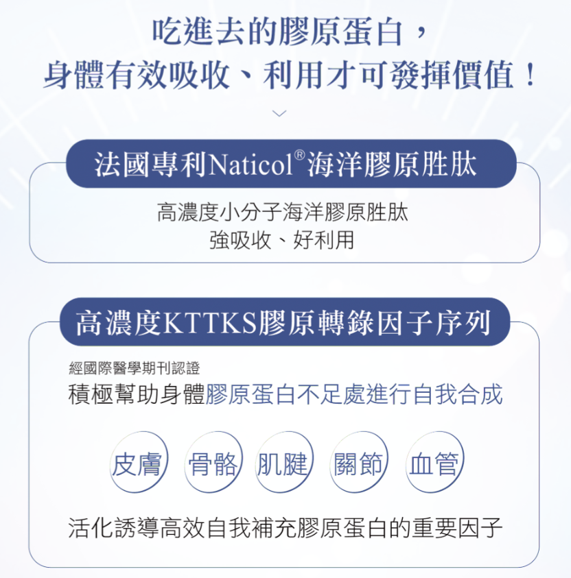 螢幕擷取畫面 2024-11-07 114532