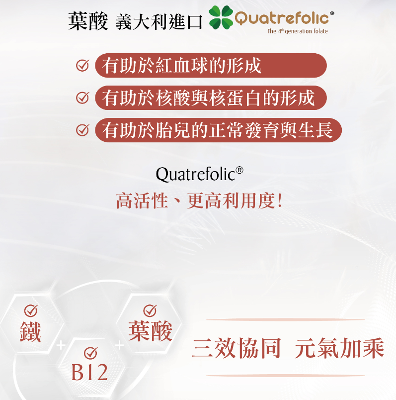 螢幕擷取畫面 2024-11-07 120148