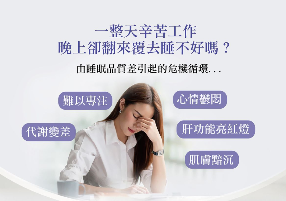 螢幕擷取畫面 2024-11-07 131800