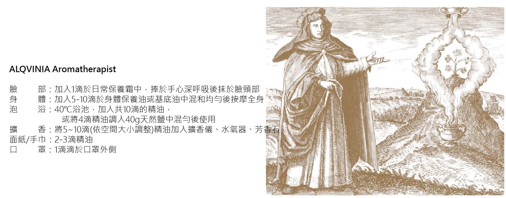 螢幕擷取畫面 2024-11-27 173710