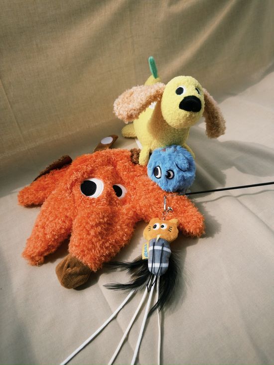  | Pawfect Pets