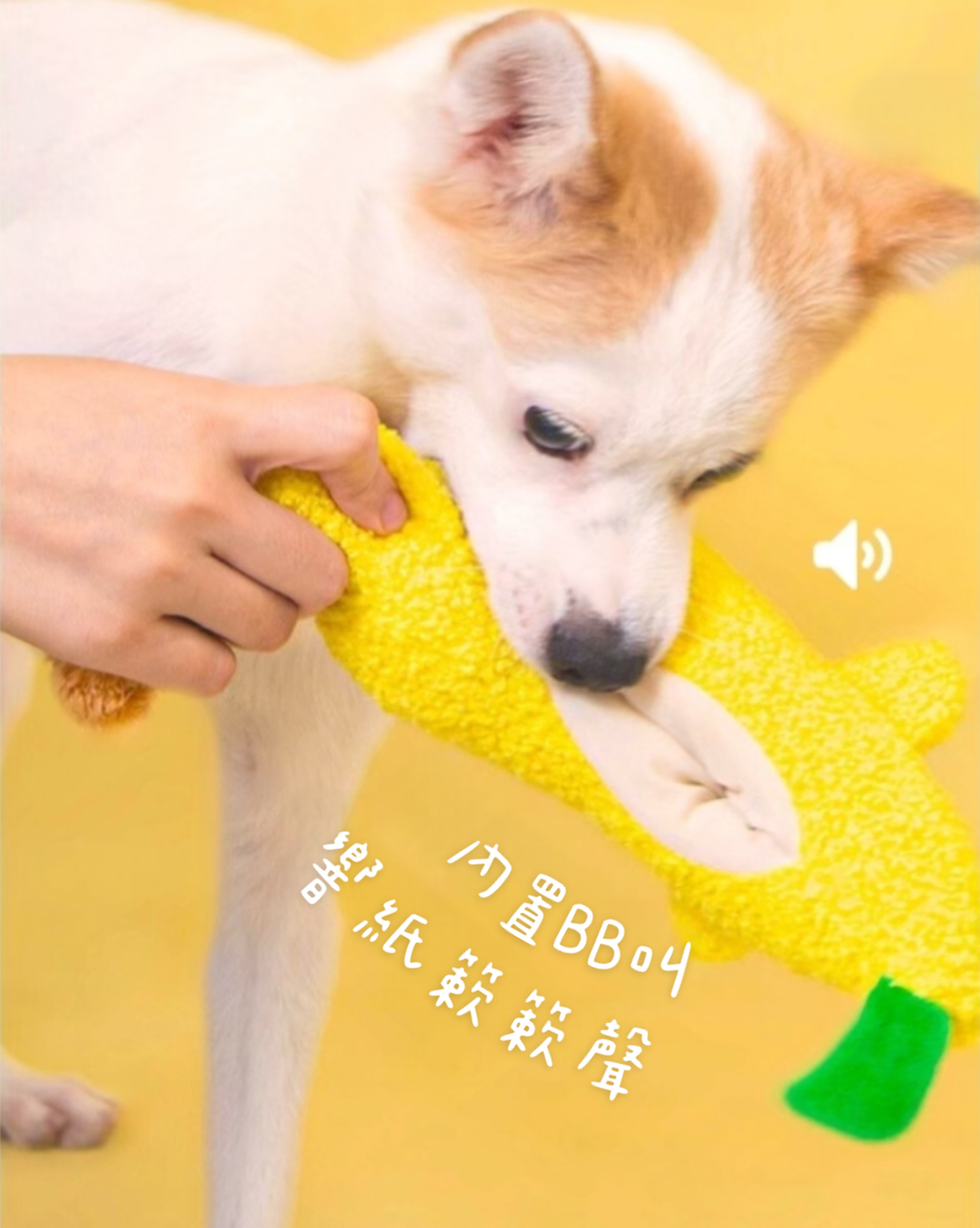 image_3ACDAB5D-AB4D-41F0-A621-9F70AEBBFBC8_1740989467