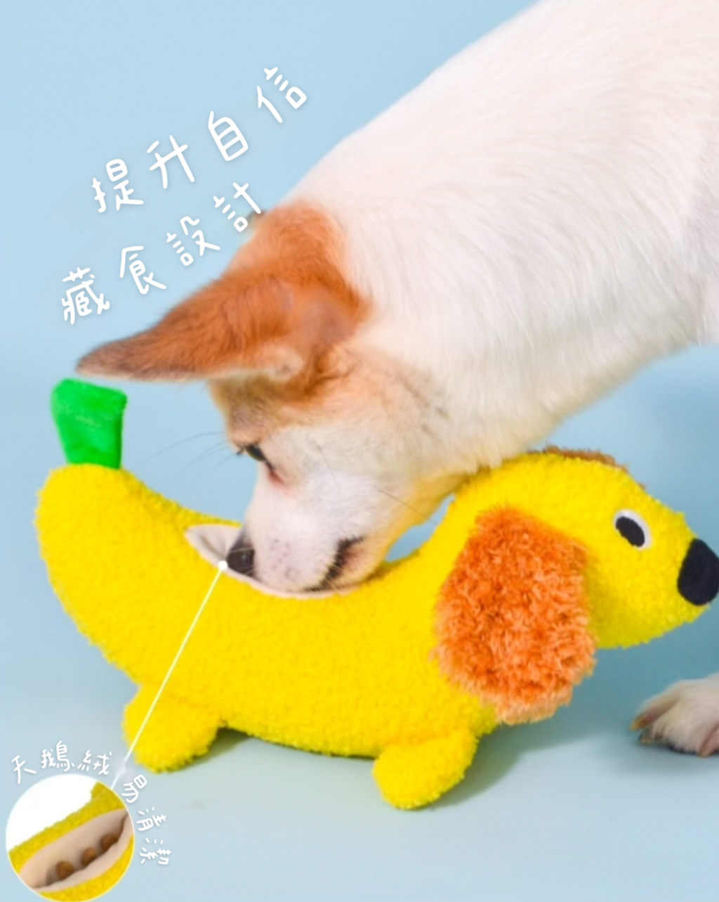 image_D807BE40-A342-4A69-B95C-BFB1E282D0D3_1740989467