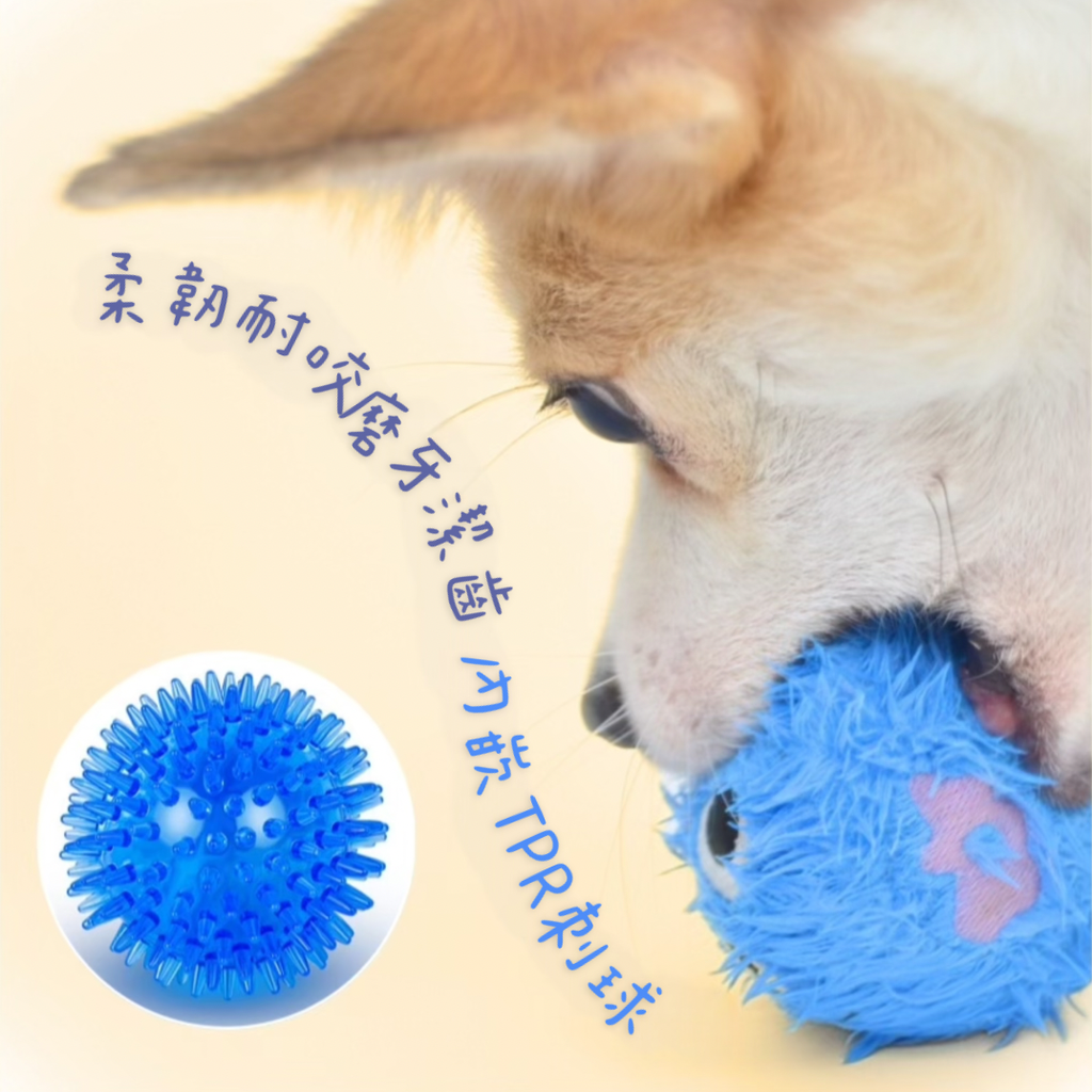 image_3795420A-8B1E-4BC9-BA2D-A18FE5BDF94F_1740989818