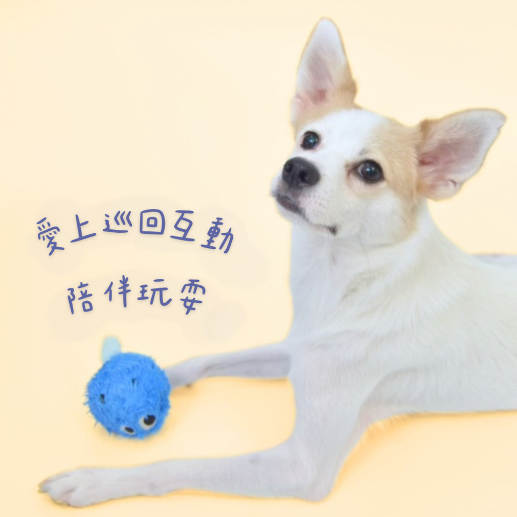 image_A5CBF5A1-41DB-4EA4-9181-53116A301A85_1740989818