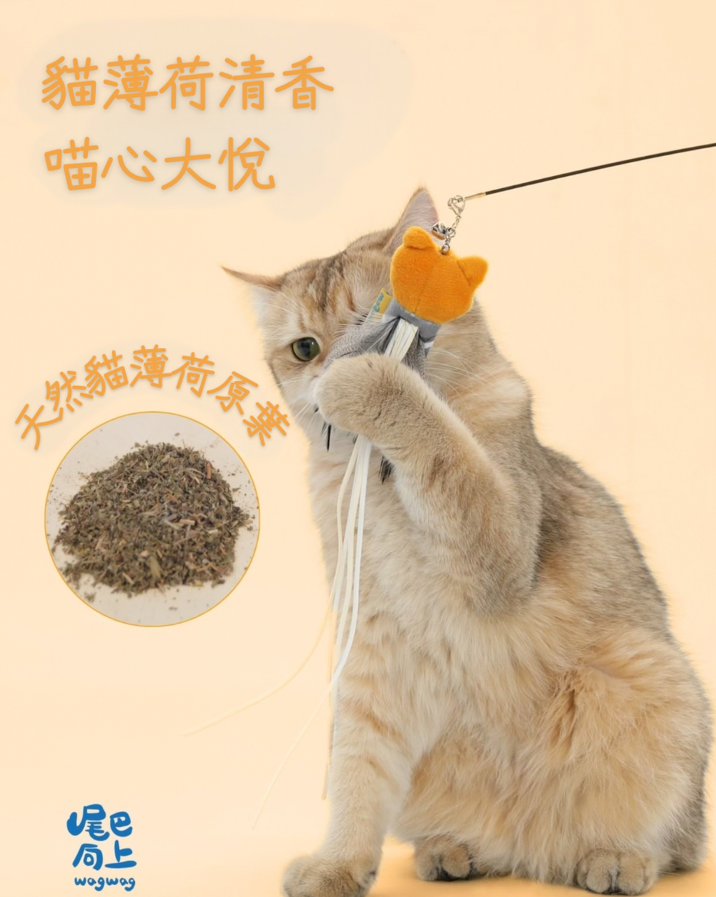image_AF558B32-3162-4706-9117-DDD9AEA59AD7_1740990541