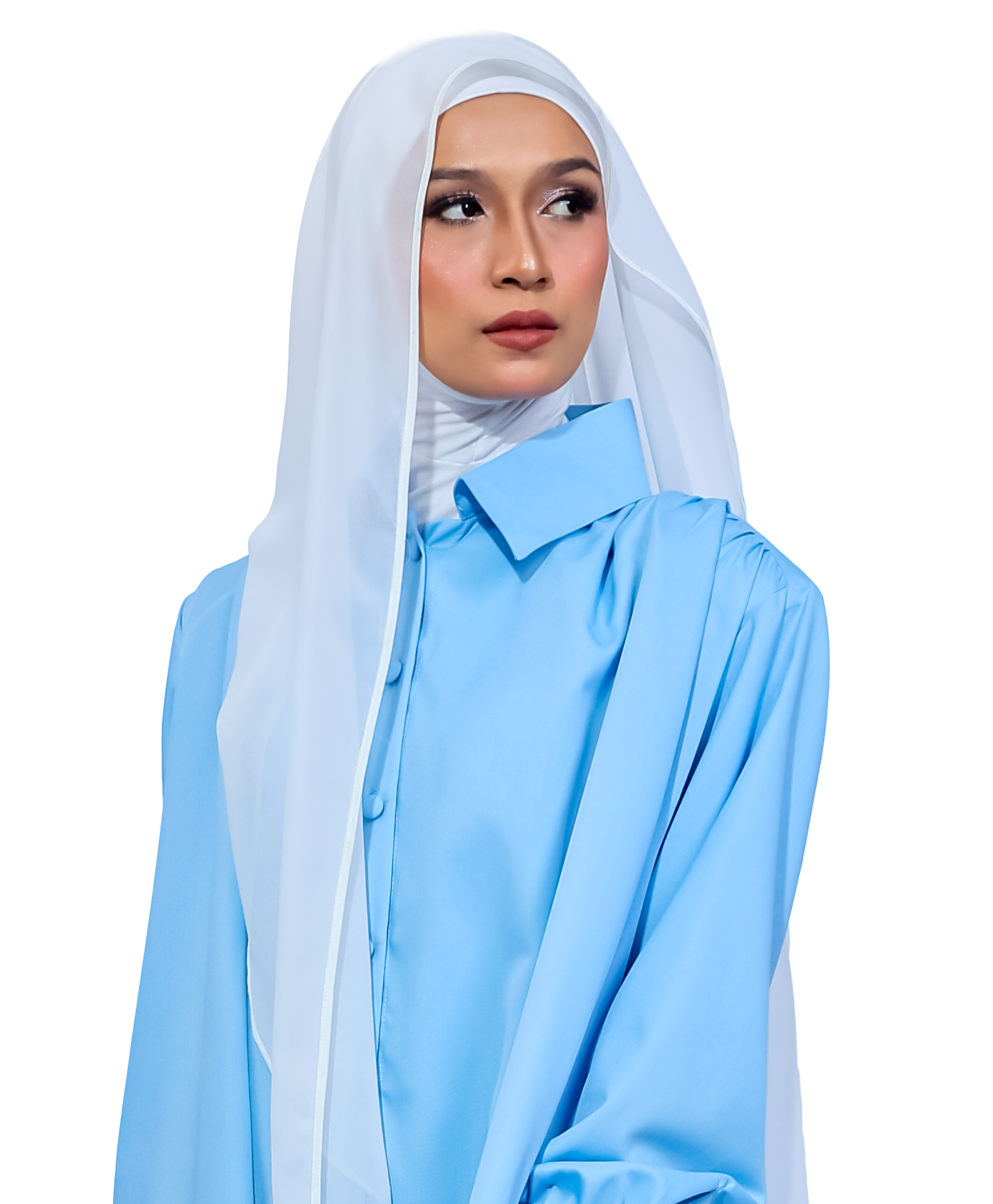 Capture One Catalog0228