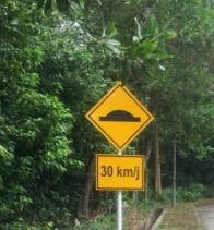 199c32d5-3f68-4f1f-87dc-2dede9a0f4b9