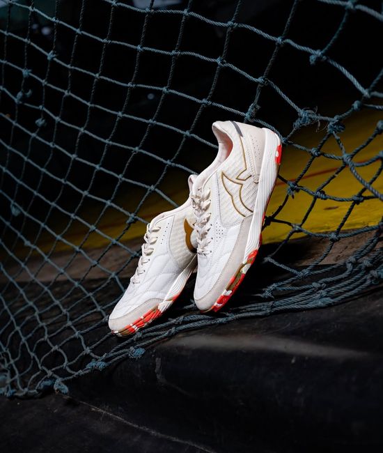  | Distore Collection