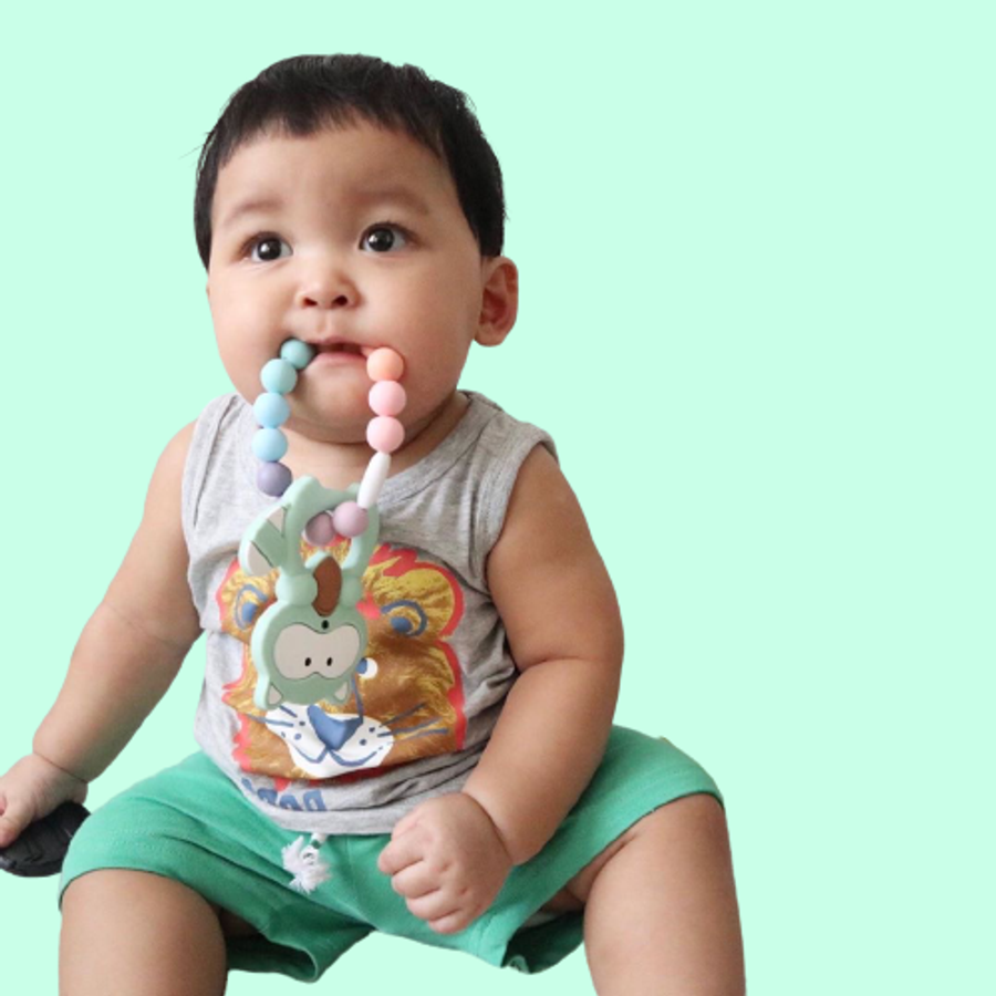 TeetherJoy - Teething in Joy | Collections - Teether + Teething Ring