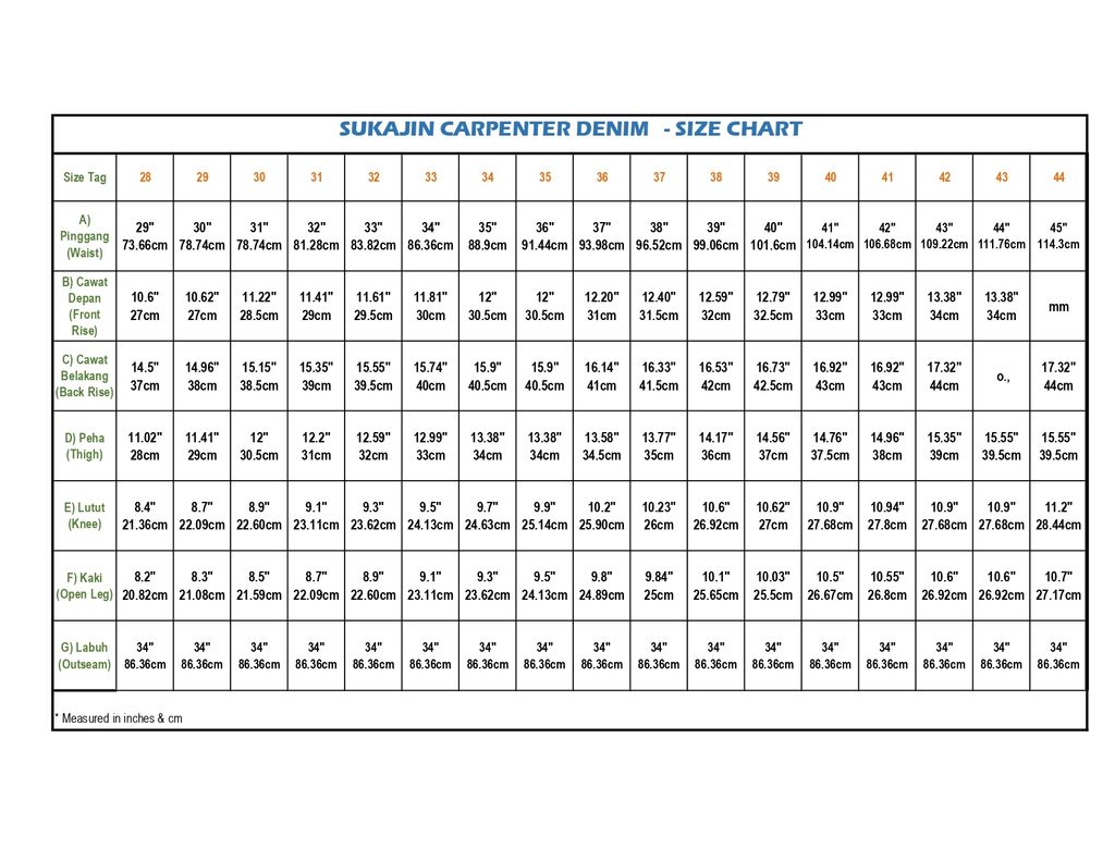 CARPENTER DENIM_page-0001