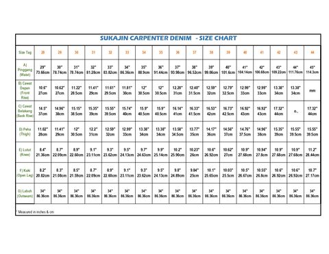 CARPENTER DENIM_page-0001