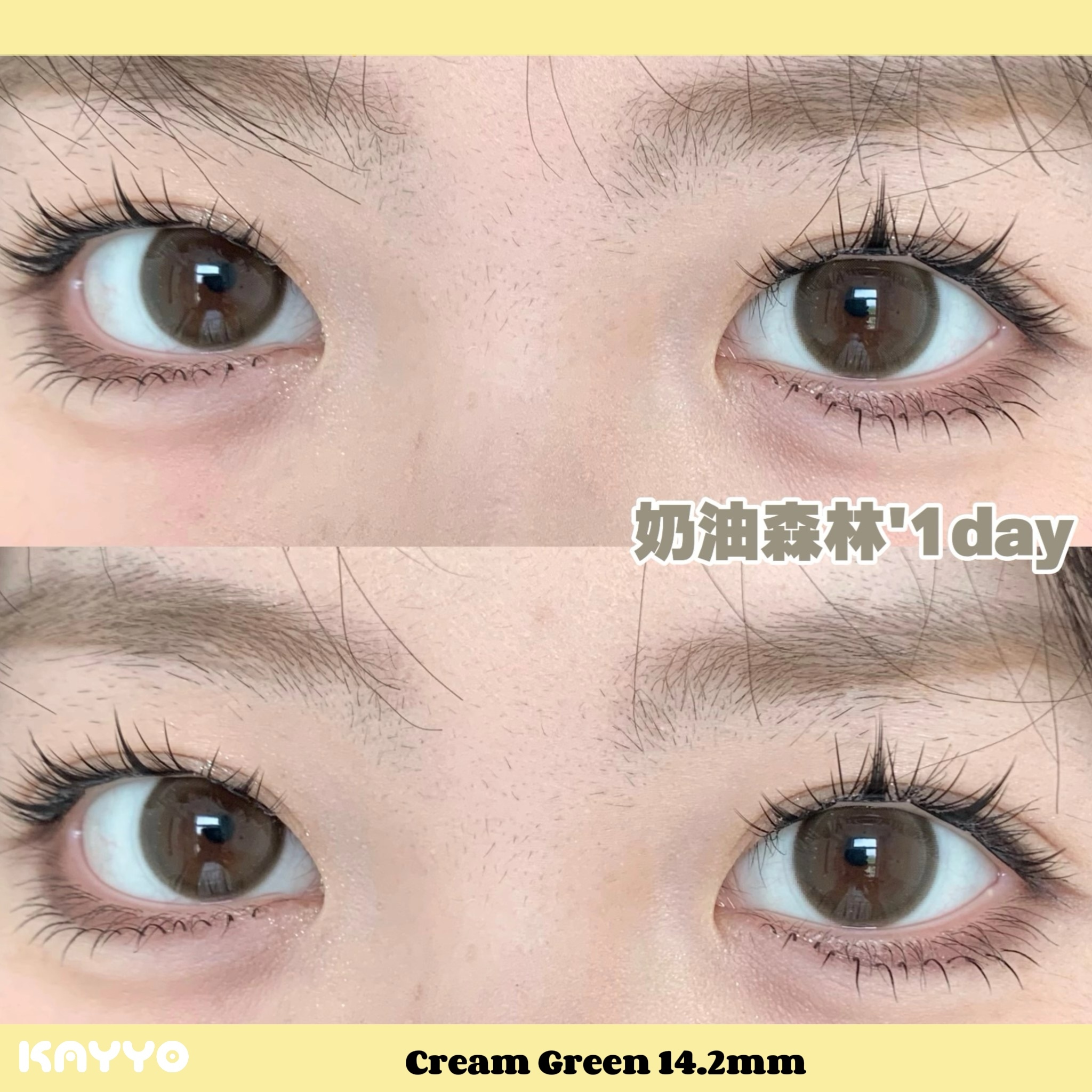 2 CoffeeGreen 奶油森林