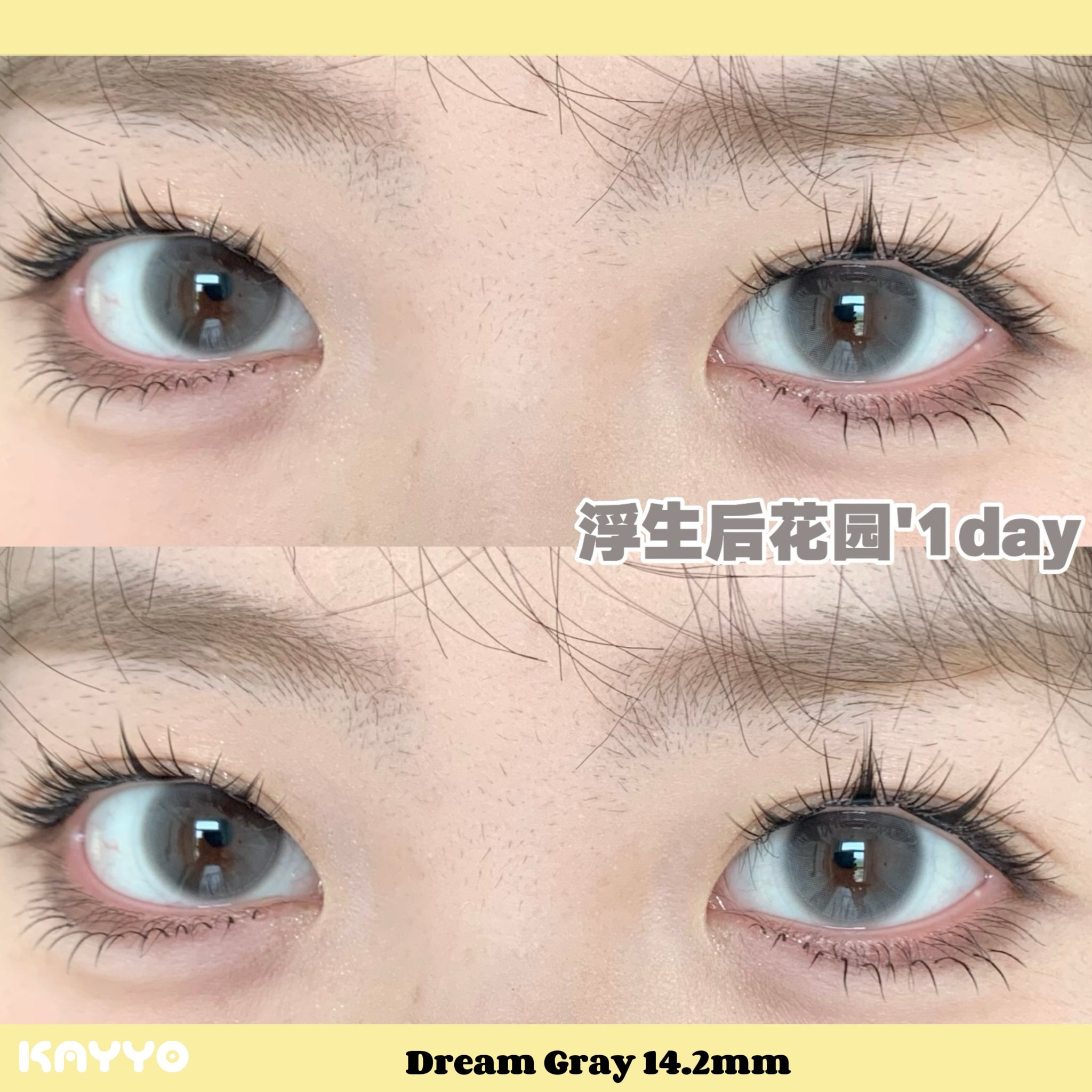 3 DreamGray 浮生后花园