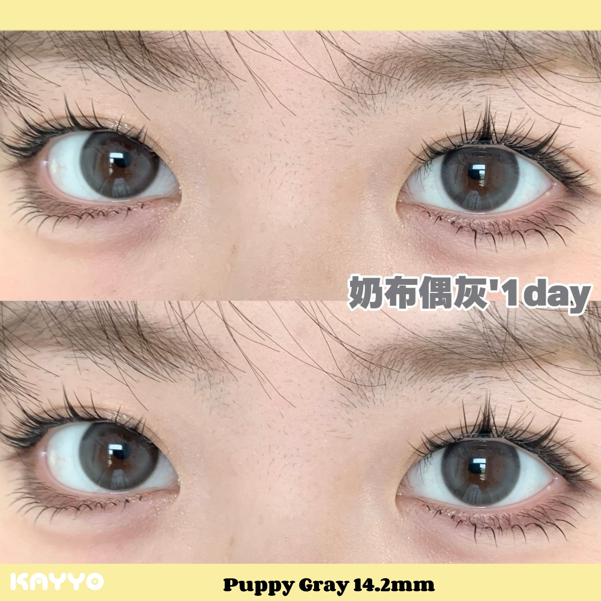 6 PuppyGray 奶布偶灰