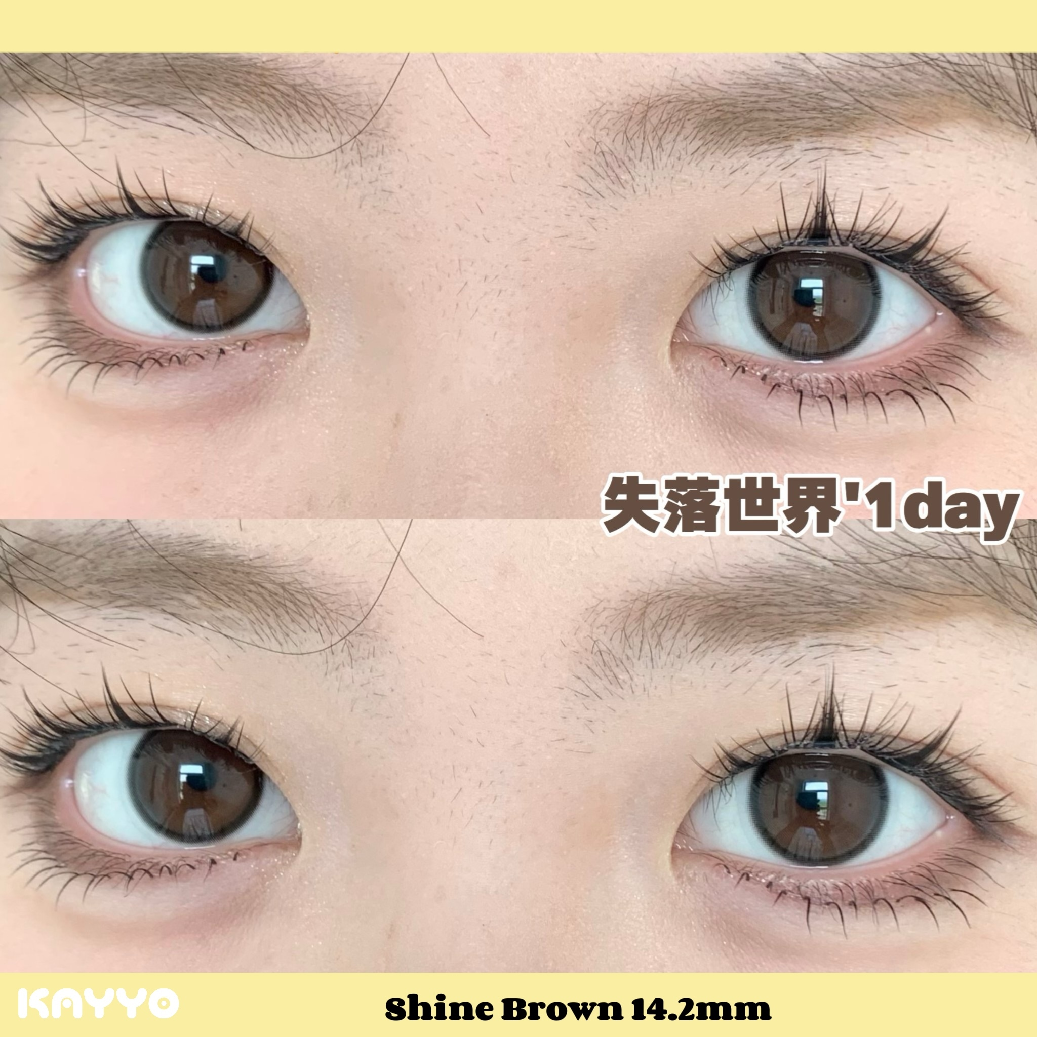 7 ShineBrown 失落世界
