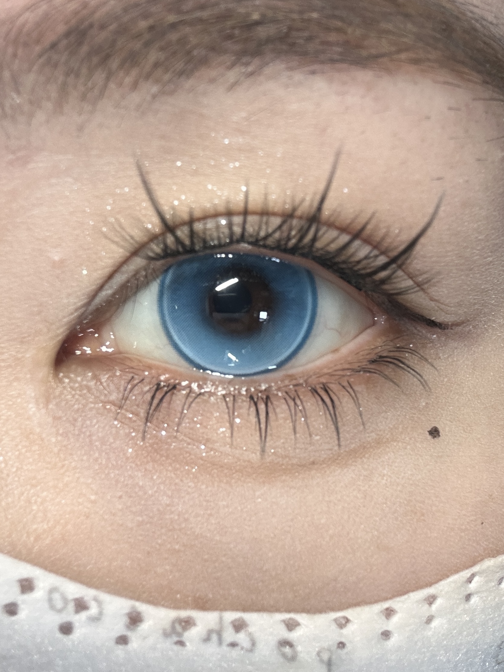 image_54ABF2F5-C2F7-4725-A7F2-9AA7AC5B8BF9_1752499573