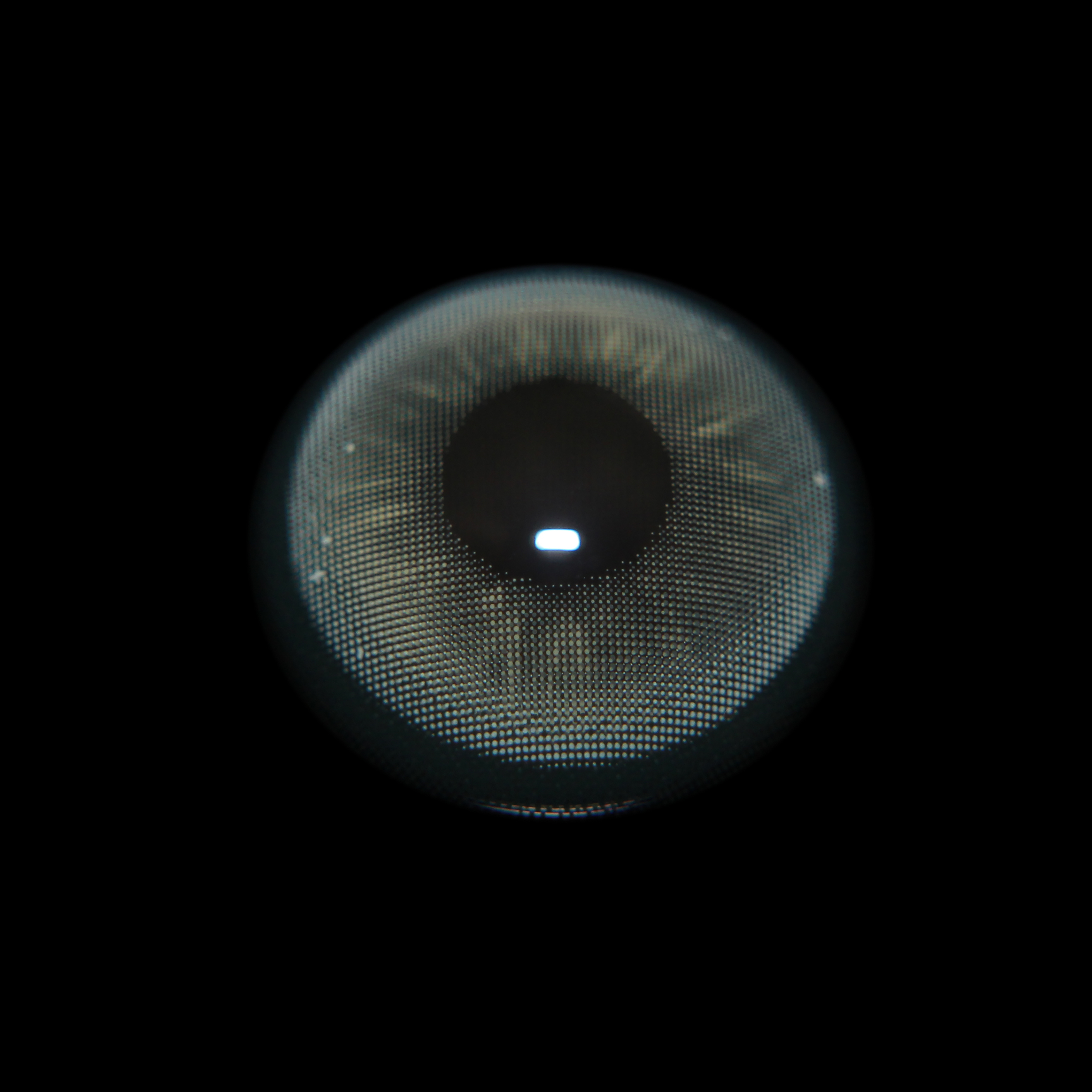 image_11941608-6B3D-45D1-8F74-E1CA74655190_1752499691