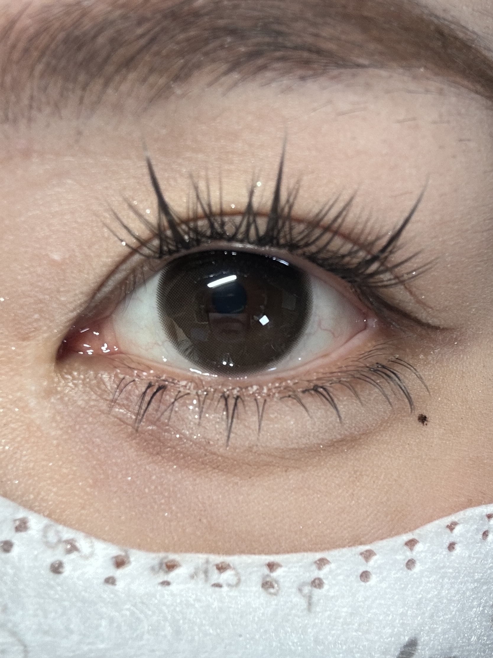 image_609F3910-8A64-45B7-9C53-F48BE4CD4840_1752500231