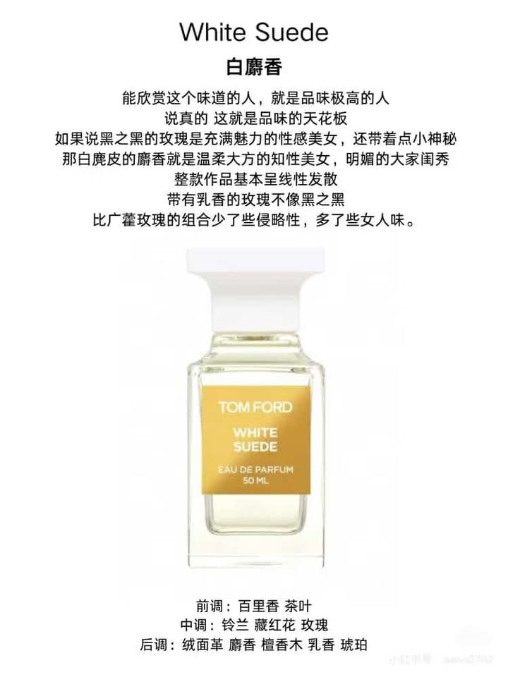 482312823_1357027182136256_8868266408933556387_n