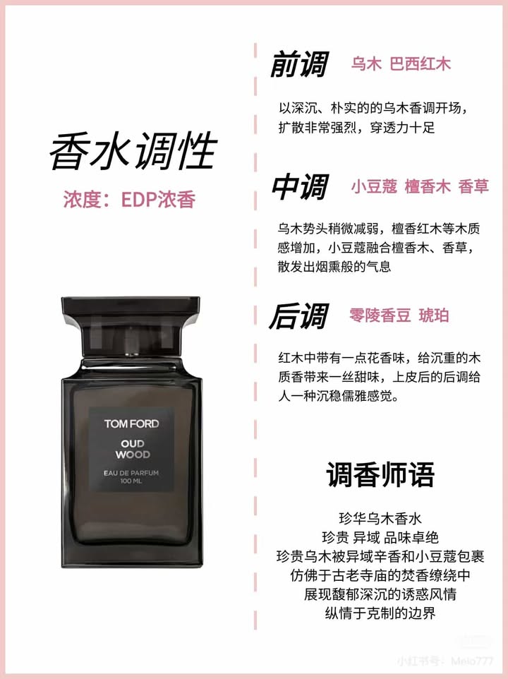 482037700_2880144302183123_9070182982945154055_n