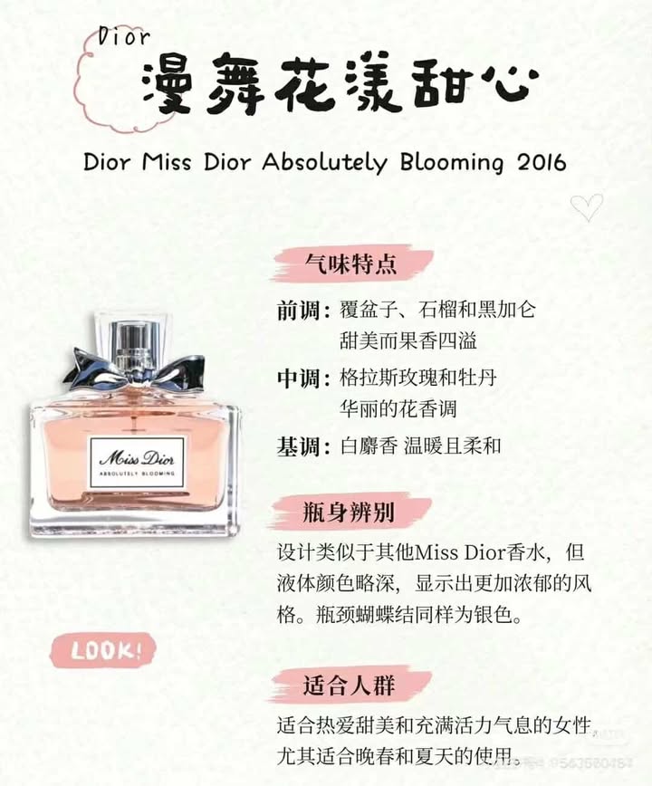 481692092_1191988365827914_3736506973998791151_n