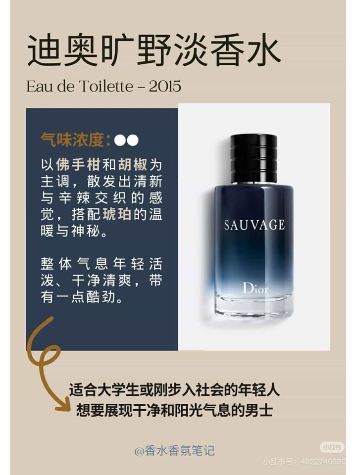 481604452_2401466120186359_942717644794455292_n