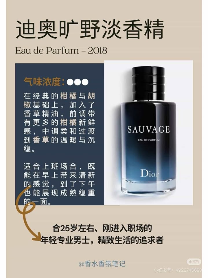 482816488_540648755145747_6026433106206838044_n