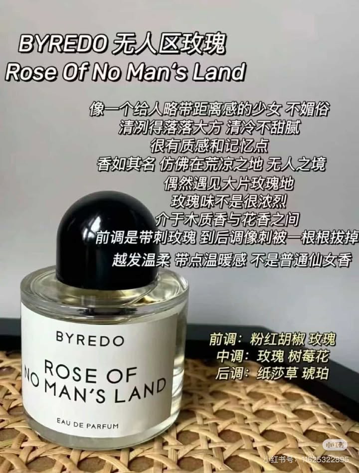 481967697_3869828079924944_4963853988806242074_n