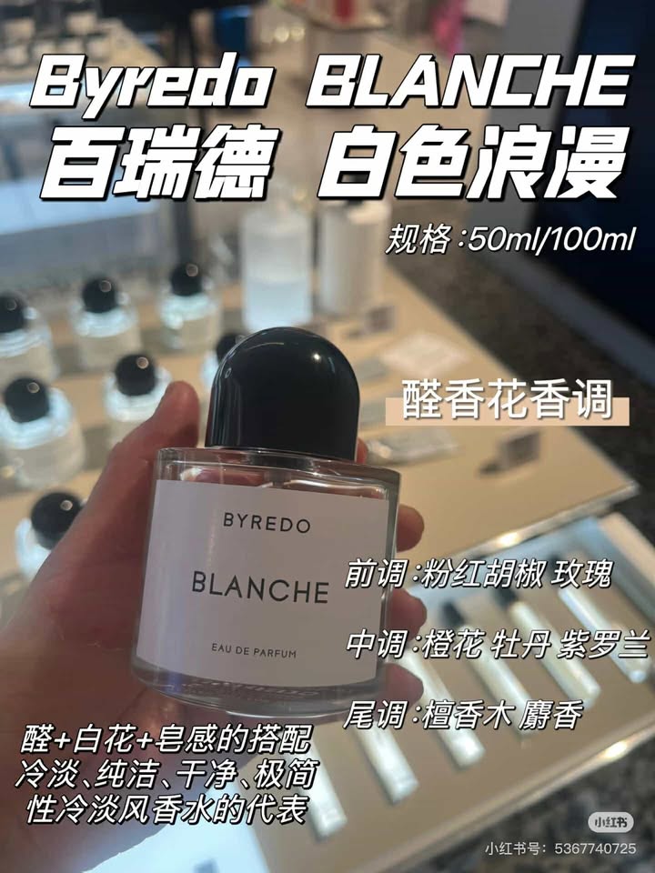 482167991_983121130446386_2613638803549907697_n