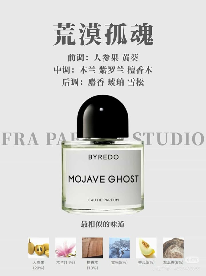 482340634_1603322087045725_2964485336483095935_n