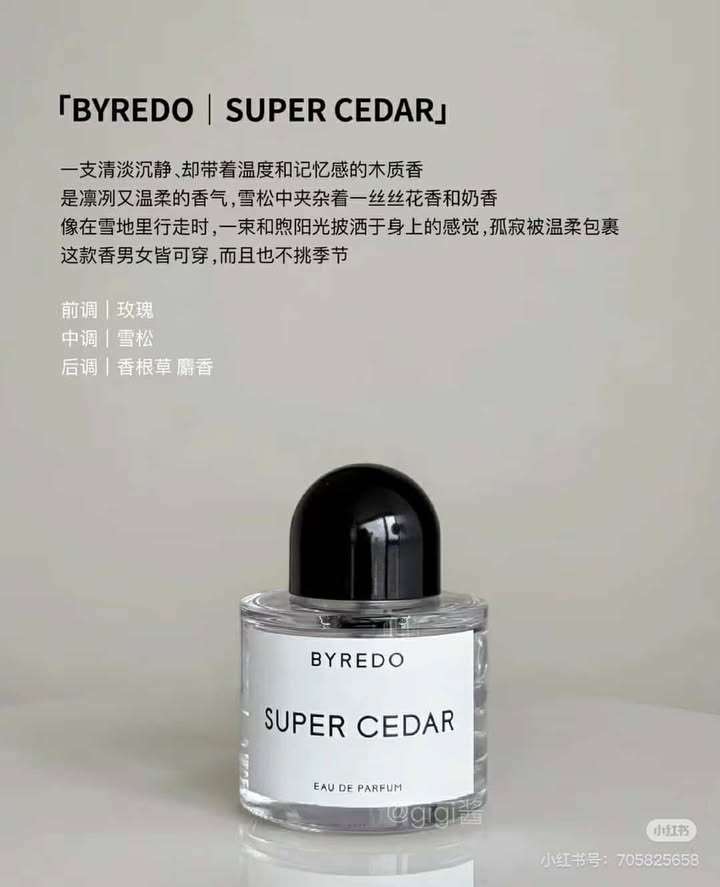 481612305_616767864534915_6468645621353749434_n