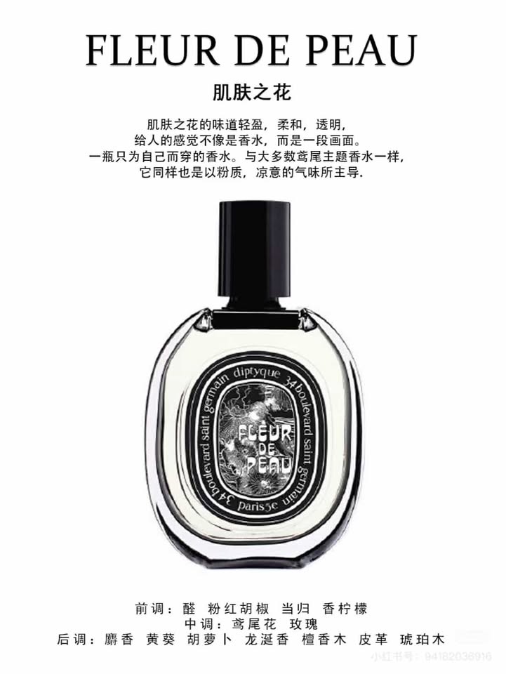 482482509_972091367927082_6082179760228404464_n