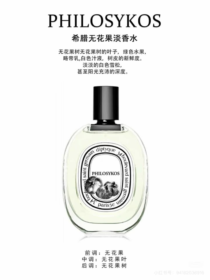 481570581_685167710504777_2721195700963127170_n