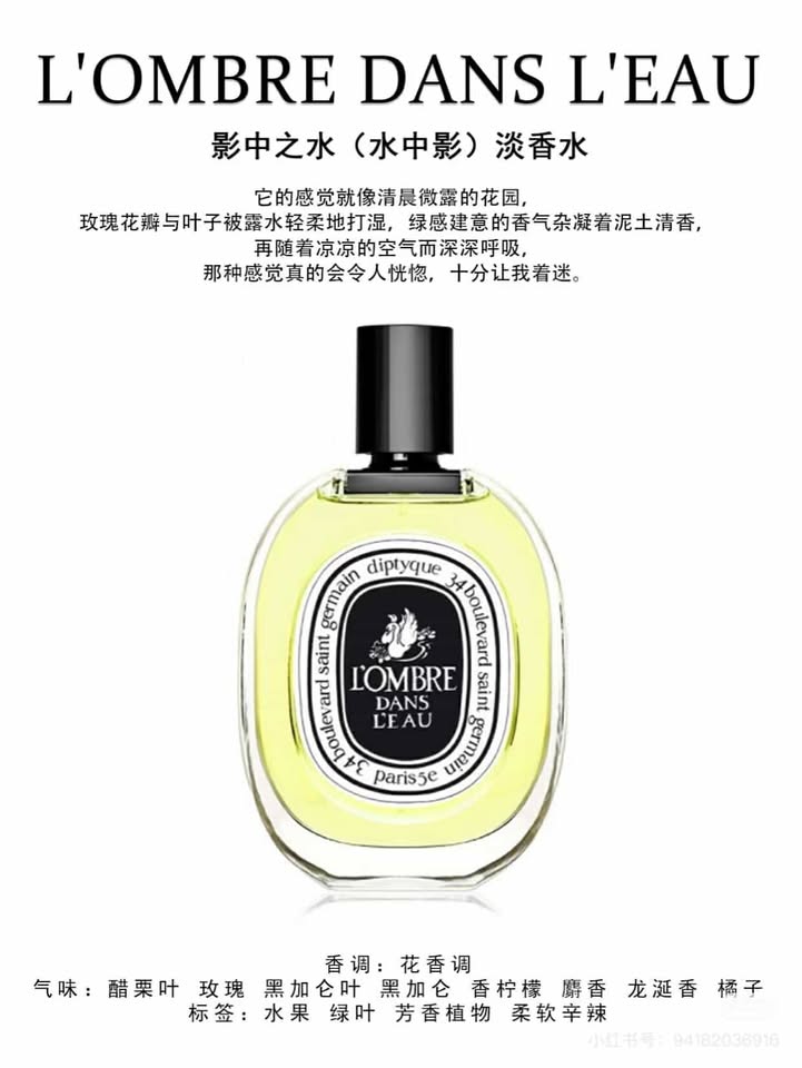 482614226_1365028341363316_7751156019158364278_n