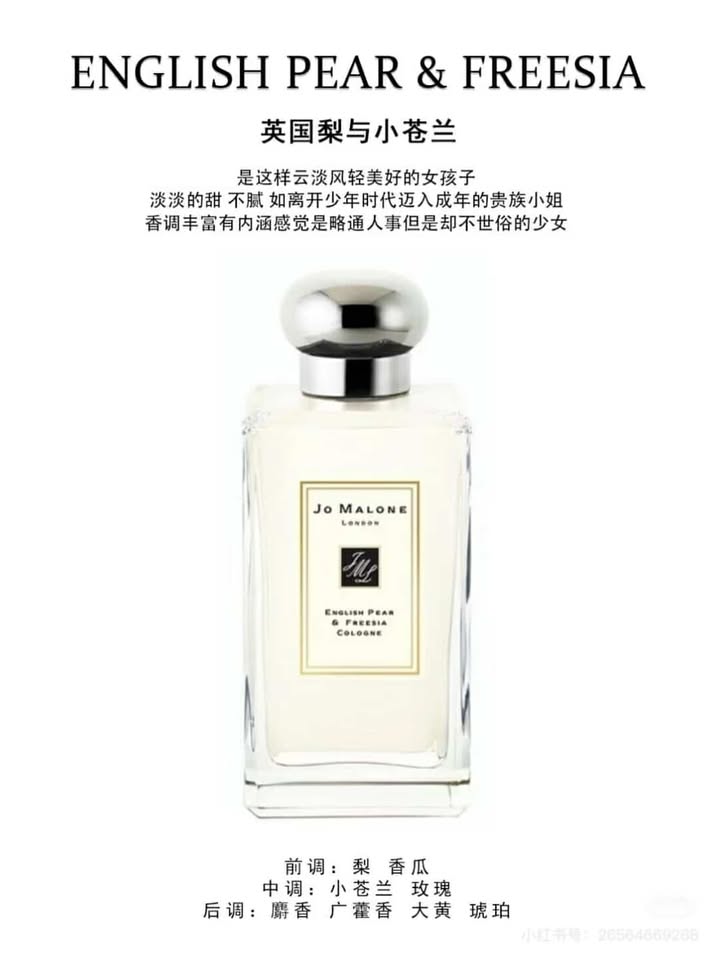 481795870_1080394607233066_6201136958291282061_n