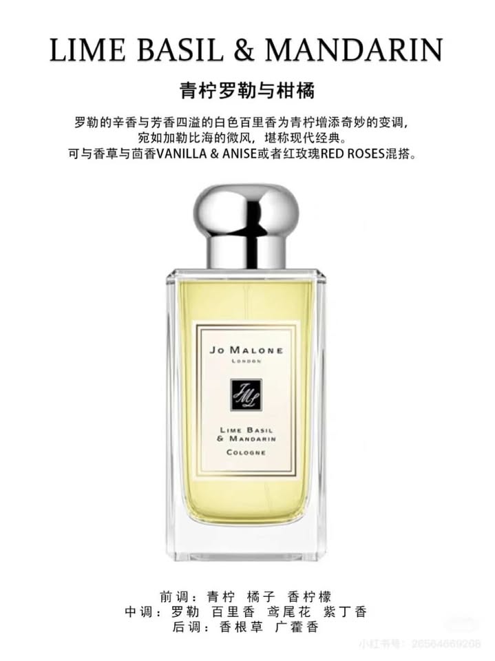 481970219_508626162345238_8496258309149436788_n