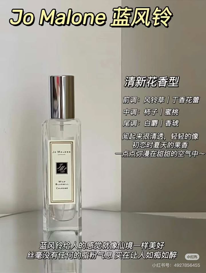 481907340_641116345525894_3326948231747675596_n