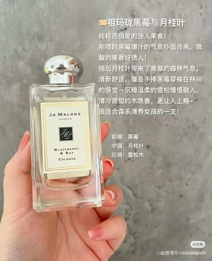 481876992_1252535302961813_6146306587942614285_n