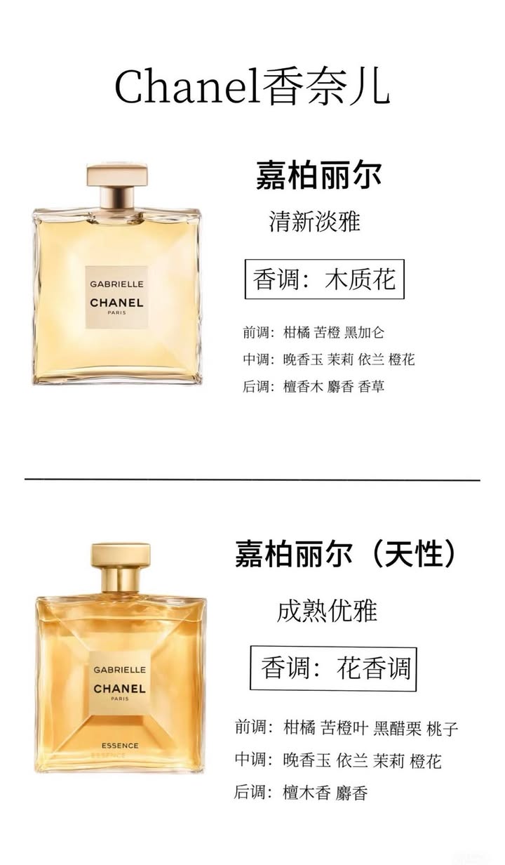 482516940_539668192480111_7264425060411004123_n