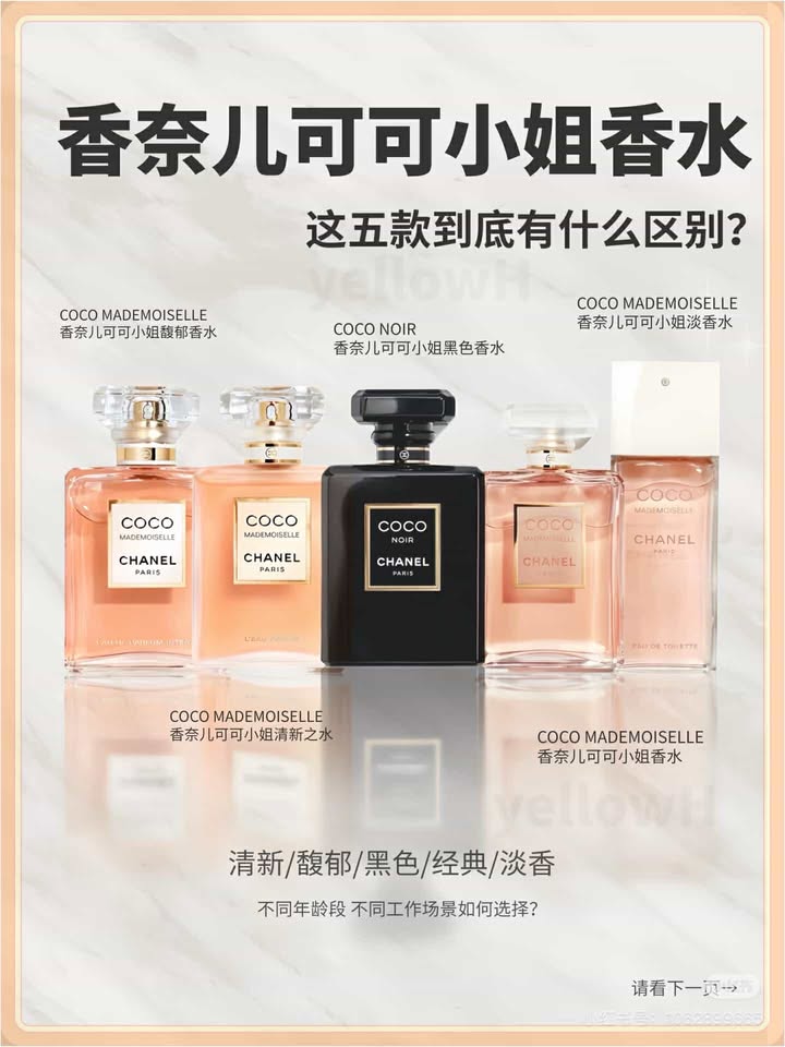 481693242_1333620524548116_8671596994725467983_n