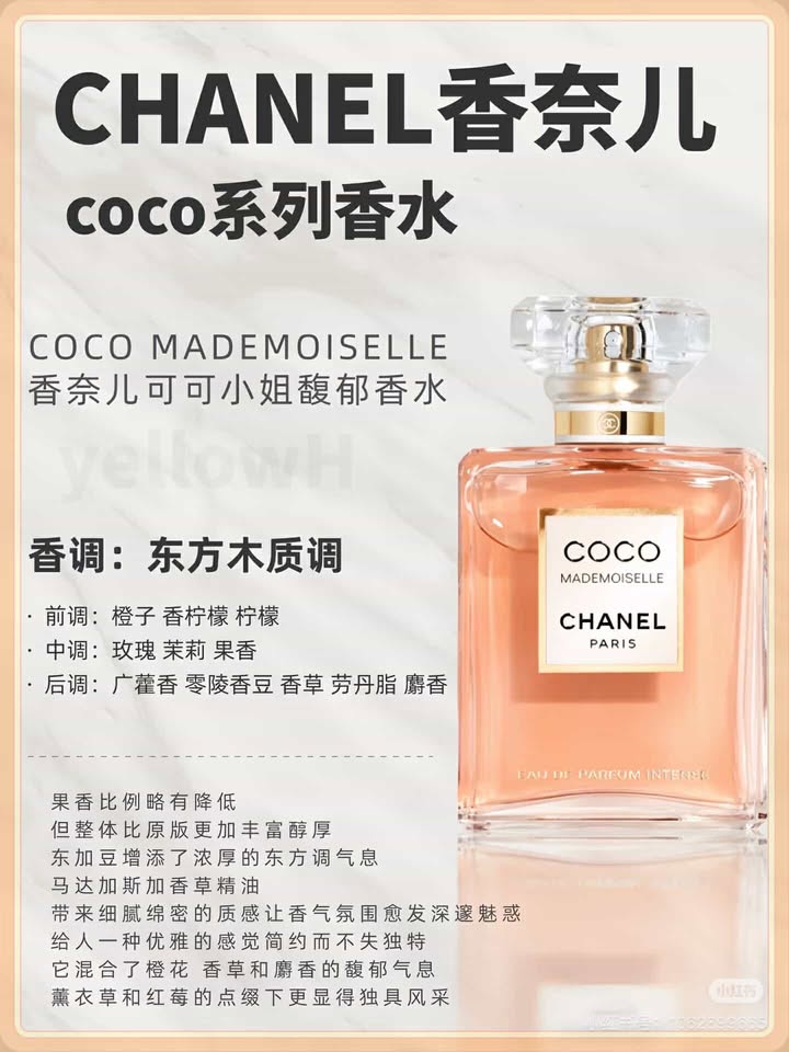 482729059_1311023183505469_8967277924227403335_n