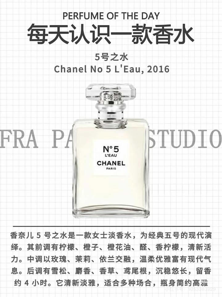 482032778_2821741091548736_7560553880511151557_n