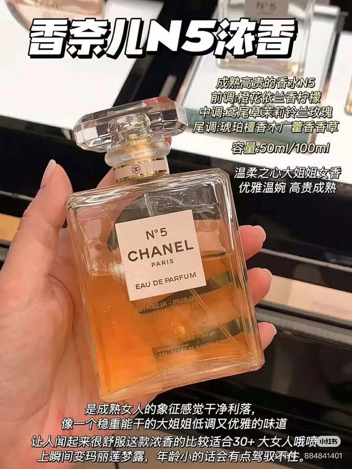 482042843_1917787665295863_1951352853643650089_n