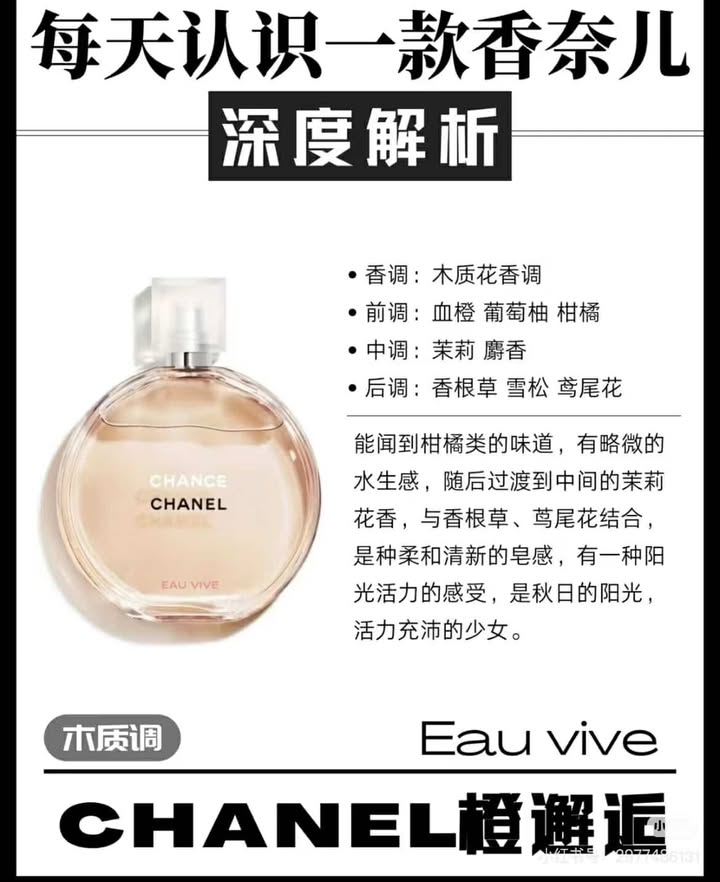 481603528_987966652914865_3576838642882063482_n