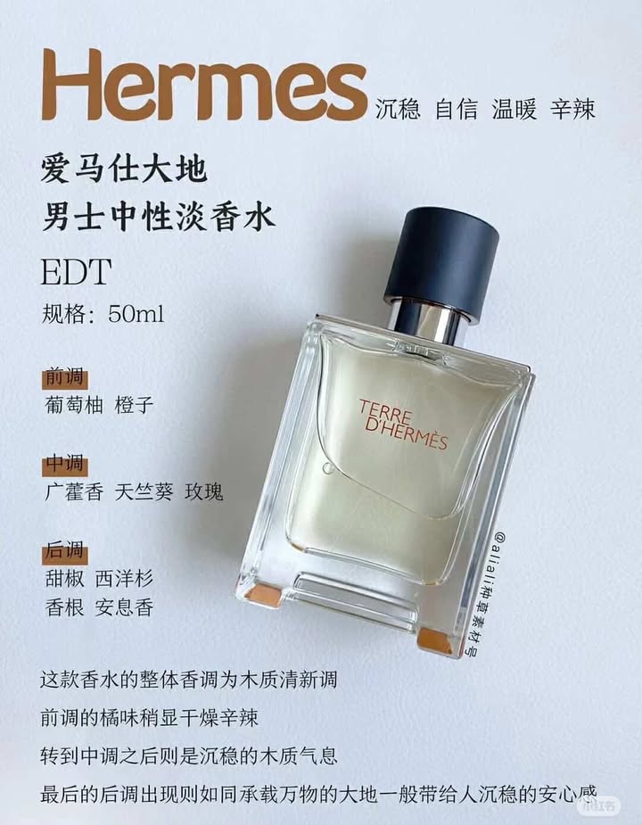 482519258_1312225793396732_5970691040504043506_n